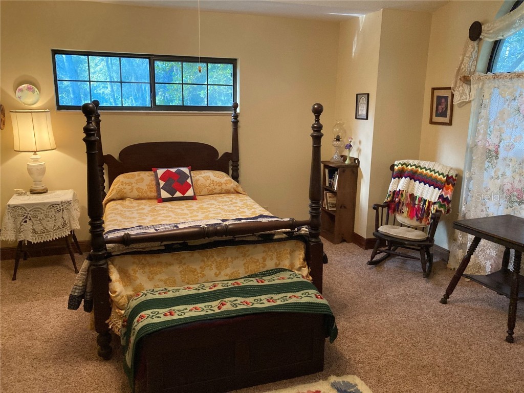 2436 Cr 416n Lake Panasoffkee FL 33538 G5100415 image19