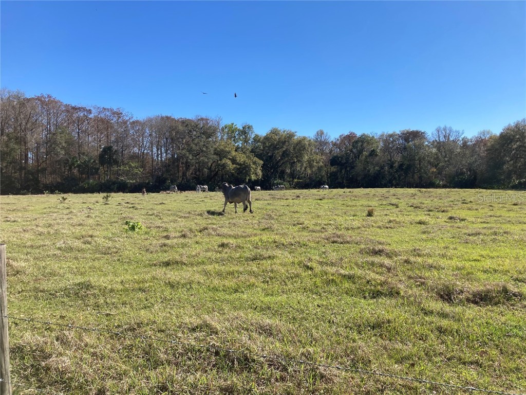 2436 Cr 416n Lake Panasoffkee FL 33538 G5100415 image23