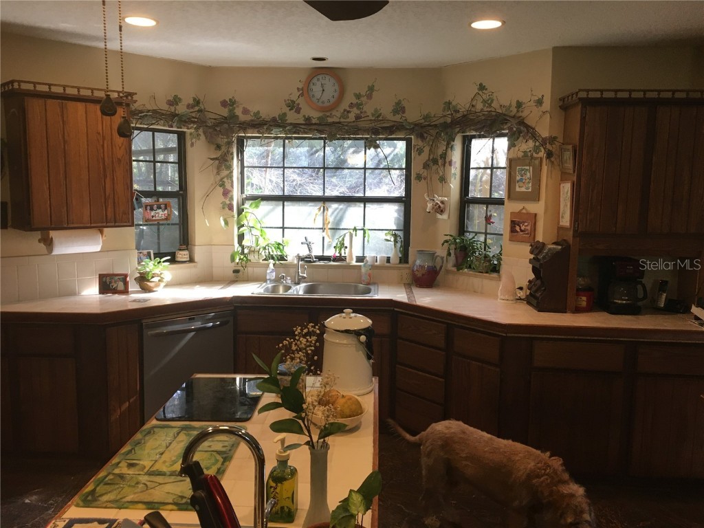 2436 Cr 416n Lake Panasoffkee FL 33538 G5100415 image7