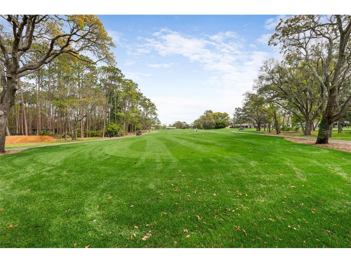 2436 Deer Trail Lane Spring Hill FL 34606 O6361780 image23