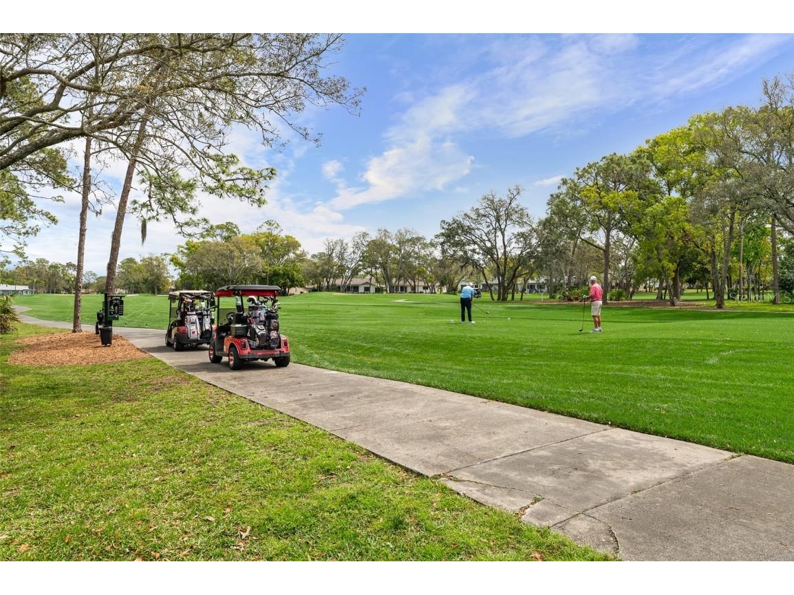 2436 Deer Trail Lane Spring Hill FL 34606 O6361780 image24