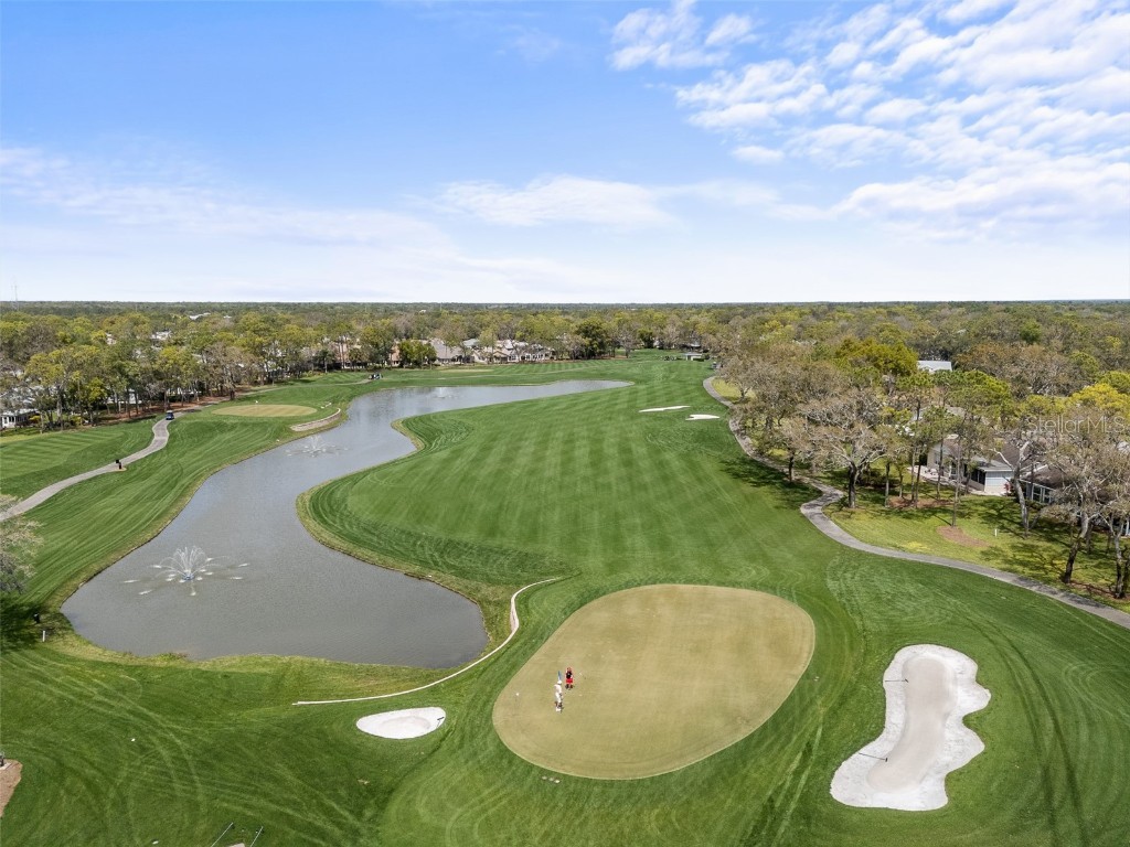 2436 Deer Trail Lane Spring Hill FL 34606 O6361780 image25