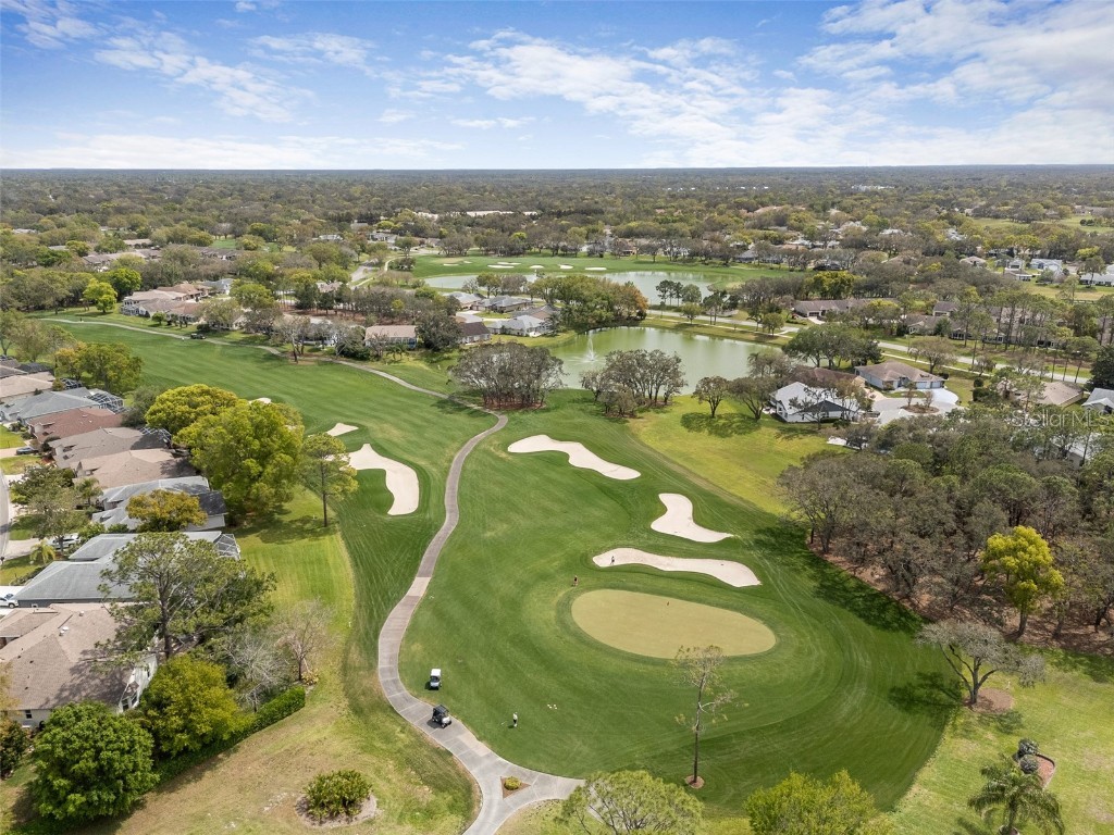 2436 Deer Trail Lane Spring Hill FL 34606 O6361780 image26