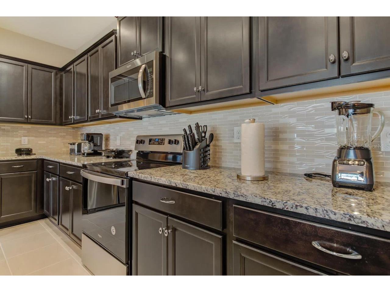 2436 Dubai Street Kissimmee FL 34747 O6417398 image26