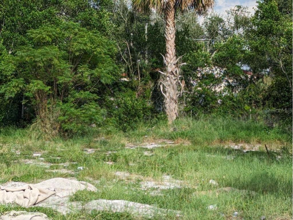 2436 Edwin Street NE Winter Haven FL 33881 S5091578 image1