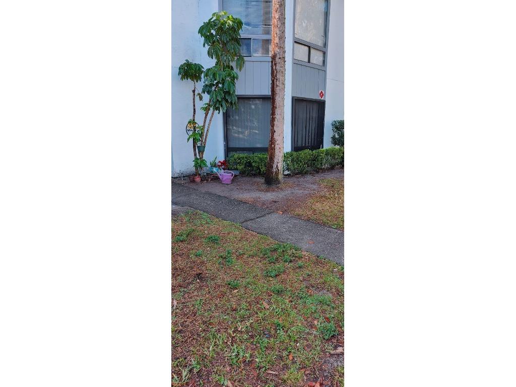 2436 Lemon Tree Lane #A Orlando FL 32839 S5090051 image1