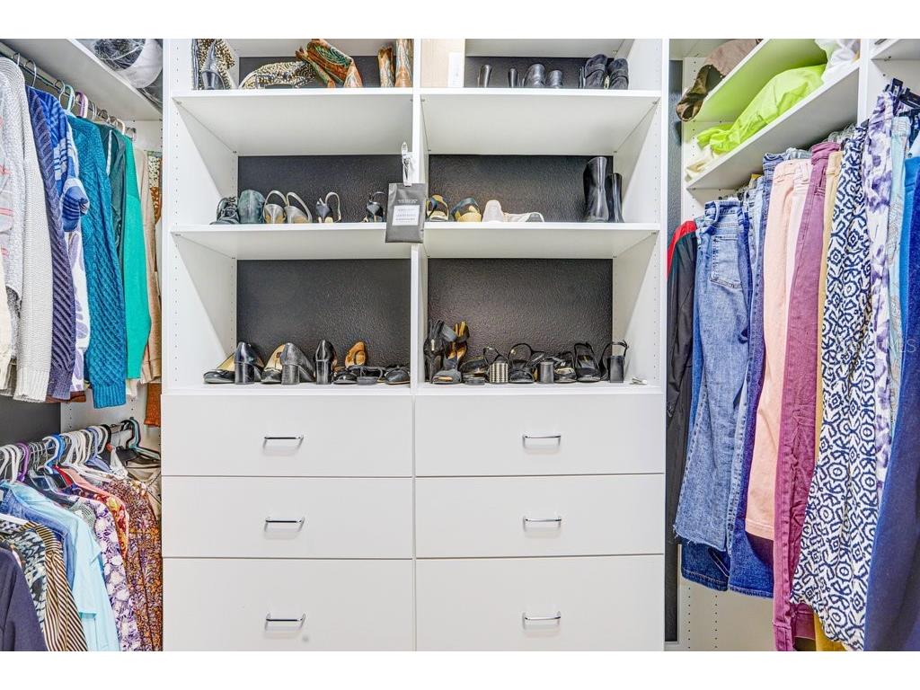 2436 Oakwood Preserve Drive Wesley Chapel FL 33543 TB8472630 image21