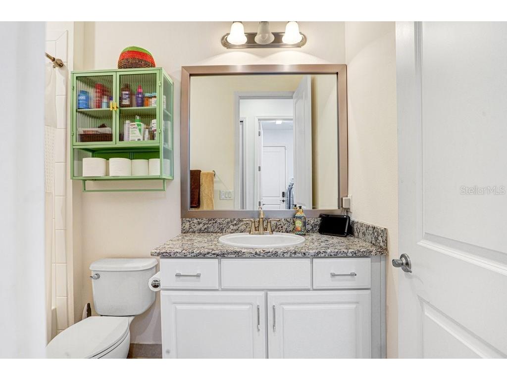 2436 Oakwood Preserve Drive Wesley Chapel FL 33543 TB8472630 image25