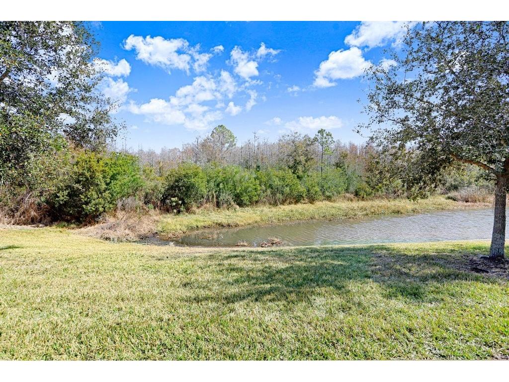 2436 Oakwood Preserve Drive Wesley Chapel FL 33543 TB8472630 image32