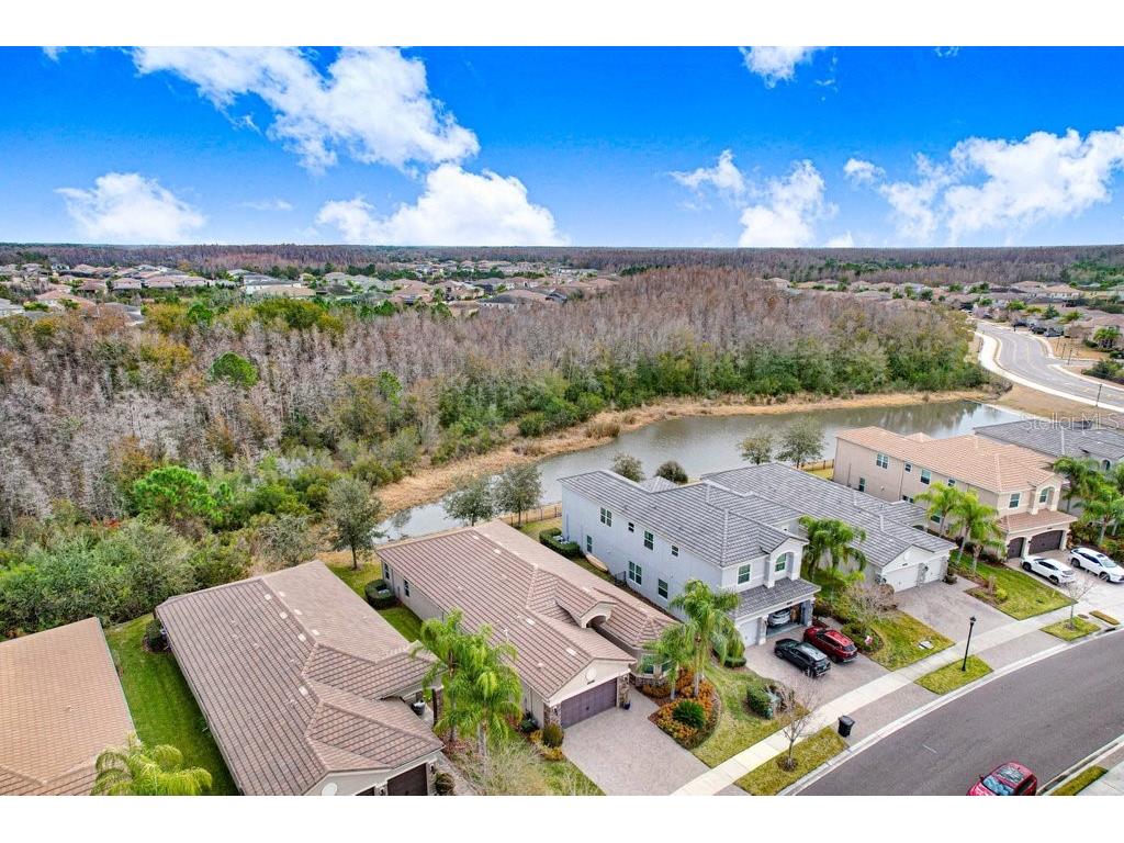 2436 Oakwood Preserve Drive Wesley Chapel FL 33543 TB8472630 image35