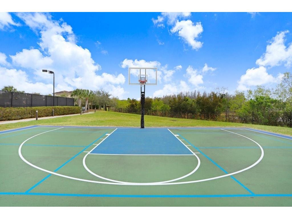 2436 Oakwood Preserve Drive Wesley Chapel FL 33543 TB8472630 image46