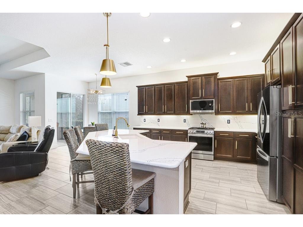 2436 Oakwood Preserve Drive Wesley Chapel FL 33543 TB8472630 image9