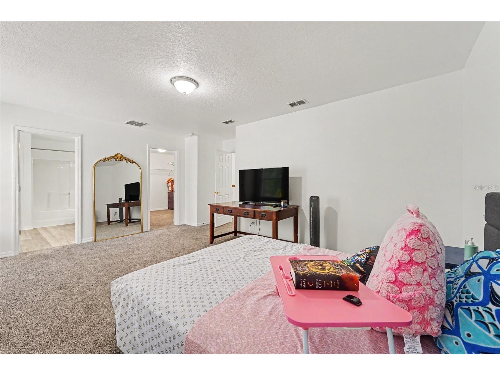 2436 Spring Hollow Loop Wesley Chapel FL 33544 TB8509426 image14