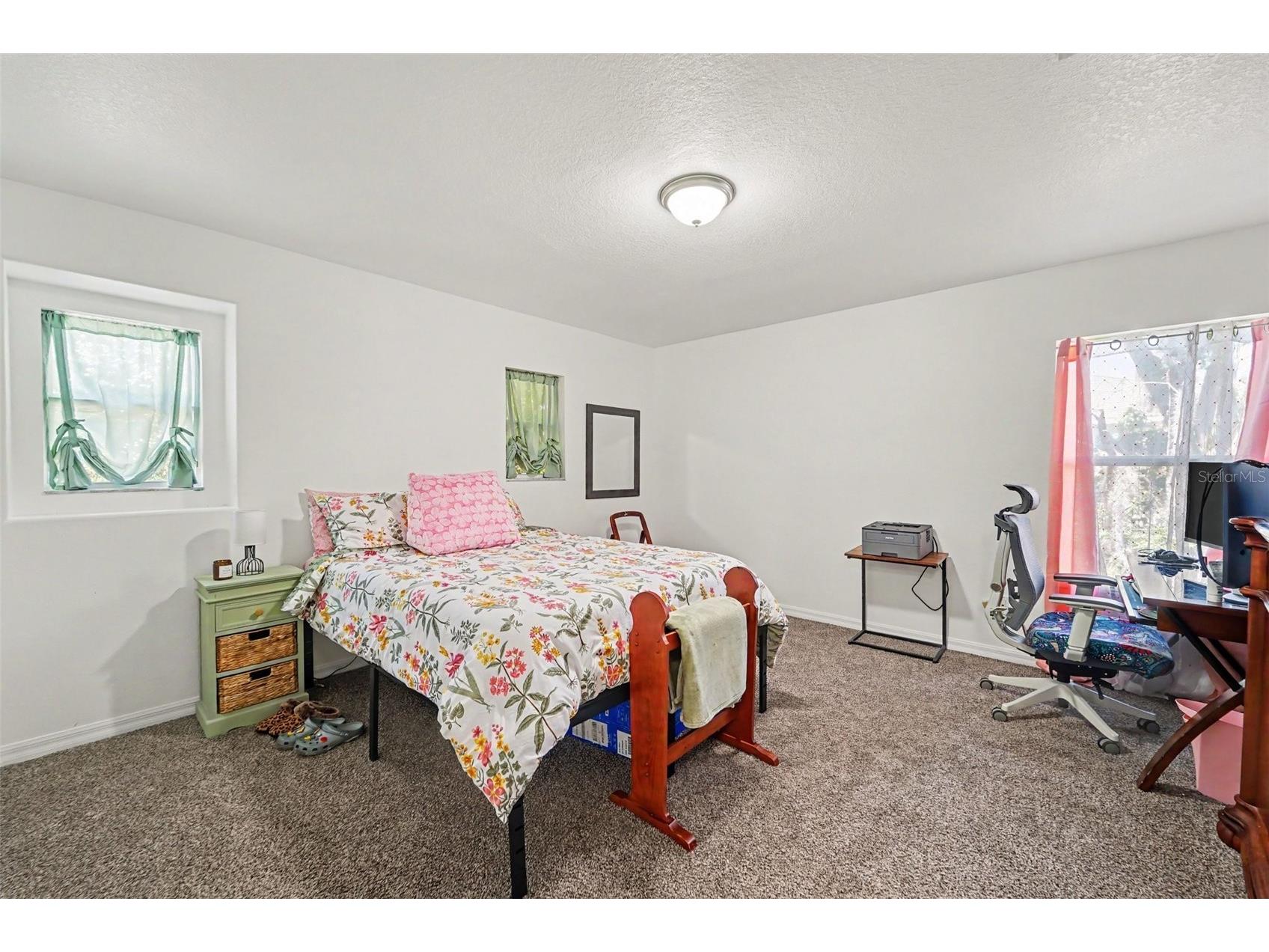 2436 Spring Hollow Loop Wesley Chapel FL 33544 TB8509426 image16