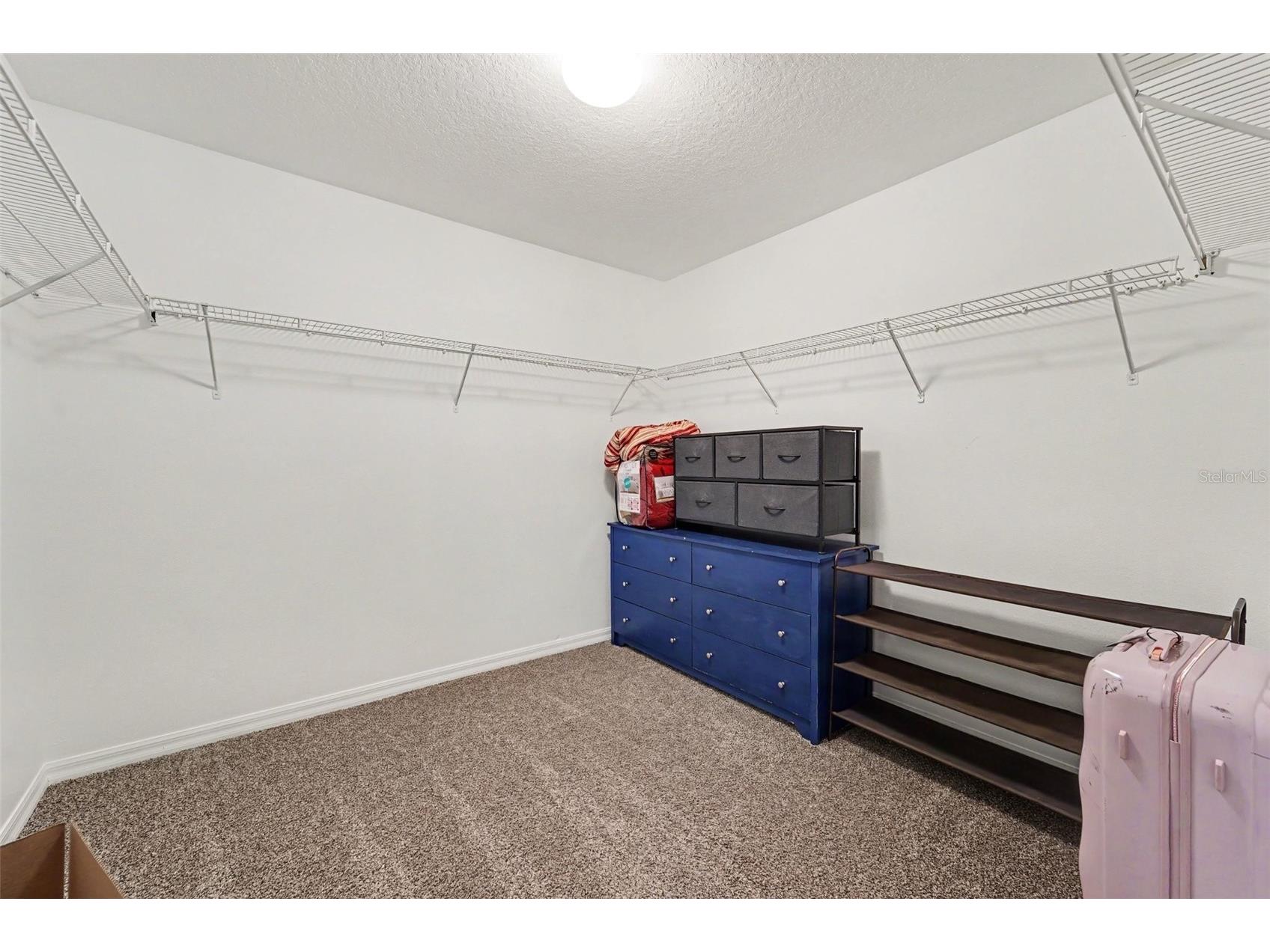 2436 Spring Hollow Loop Wesley Chapel FL 33544 TB8509426 image25