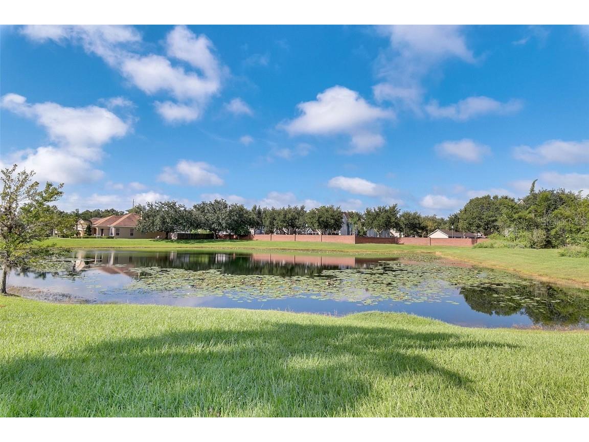 2437 Cliffdale Street Ocoee FL 34761 O6369997 image29