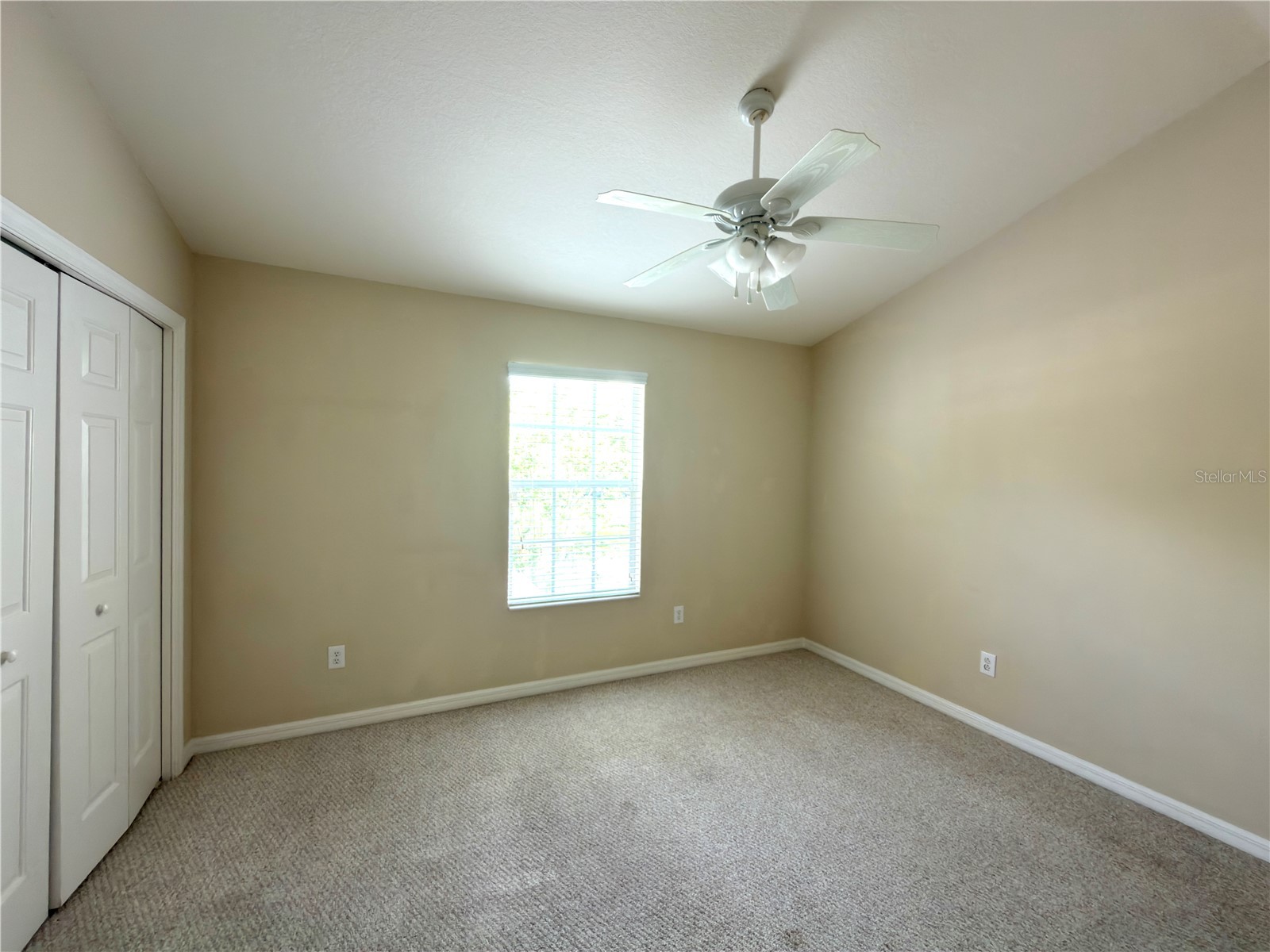 2437 Earlswood Court Brandon FL 33510 TB8517502 image4