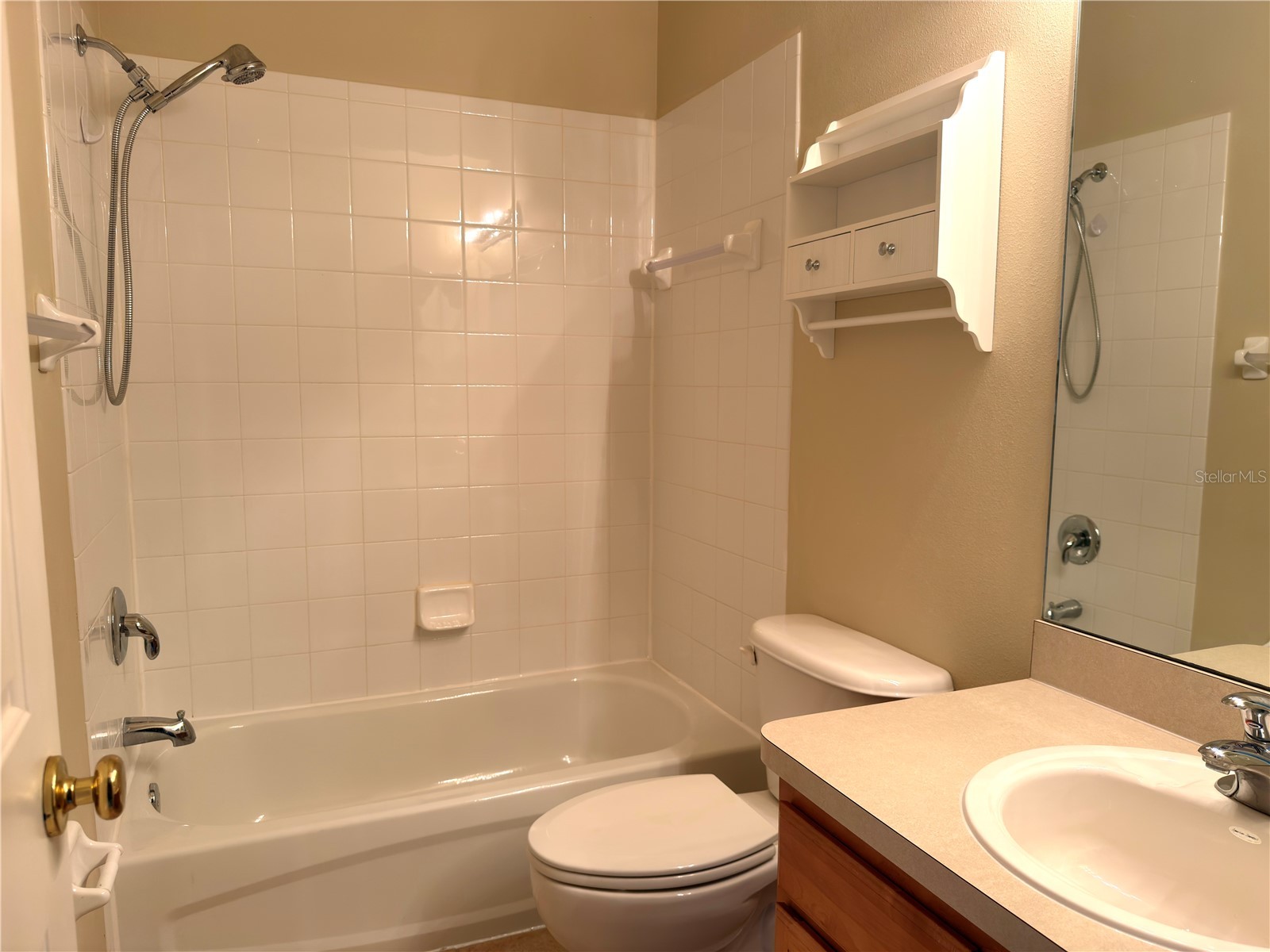 2437 Earlswood Court Brandon FL 33510 TB8517502 image8