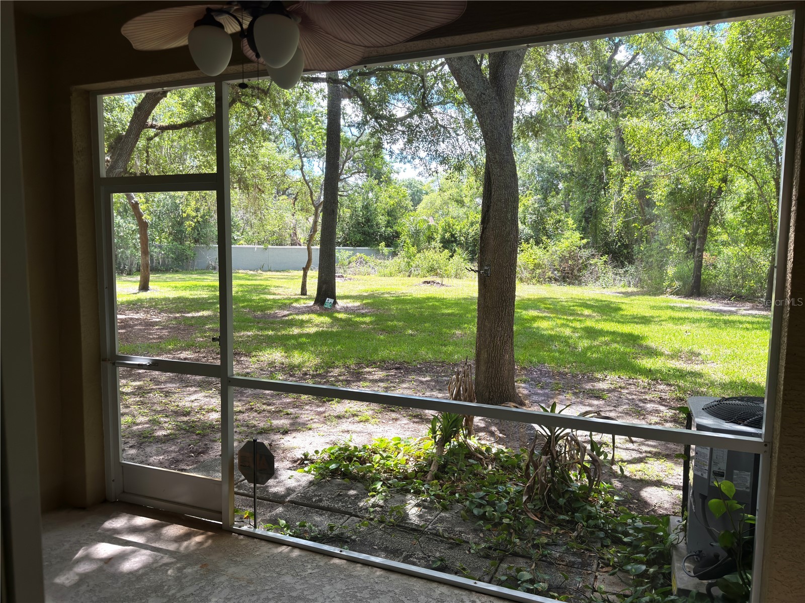 2437 Earlswood Court Brandon FL 33510 TB8517502 image9
