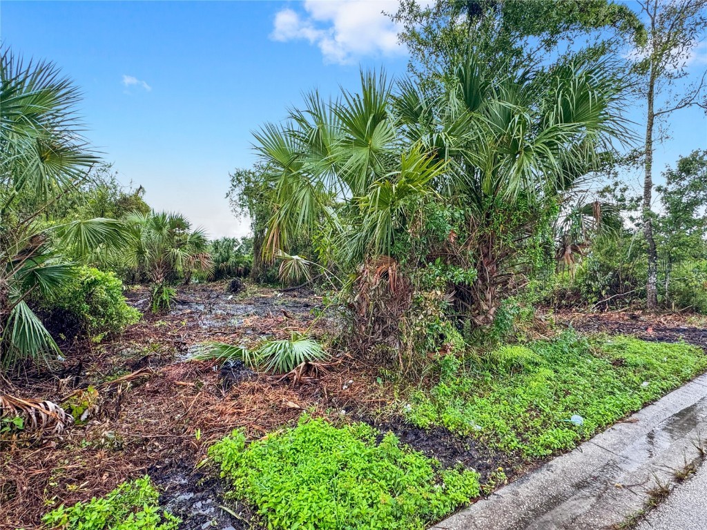 2437 Hartwell Avenue Sanford FL 32771 O6336974 image2