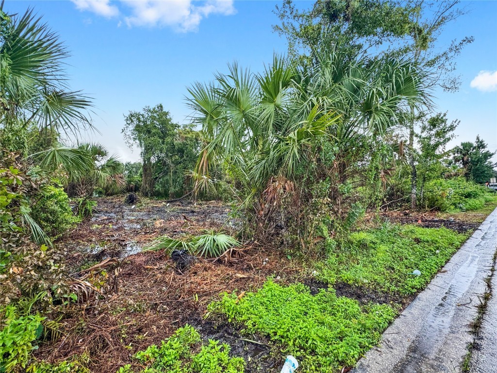 2437 Hartwell Avenue Sanford FL 32771 O6336974 image3