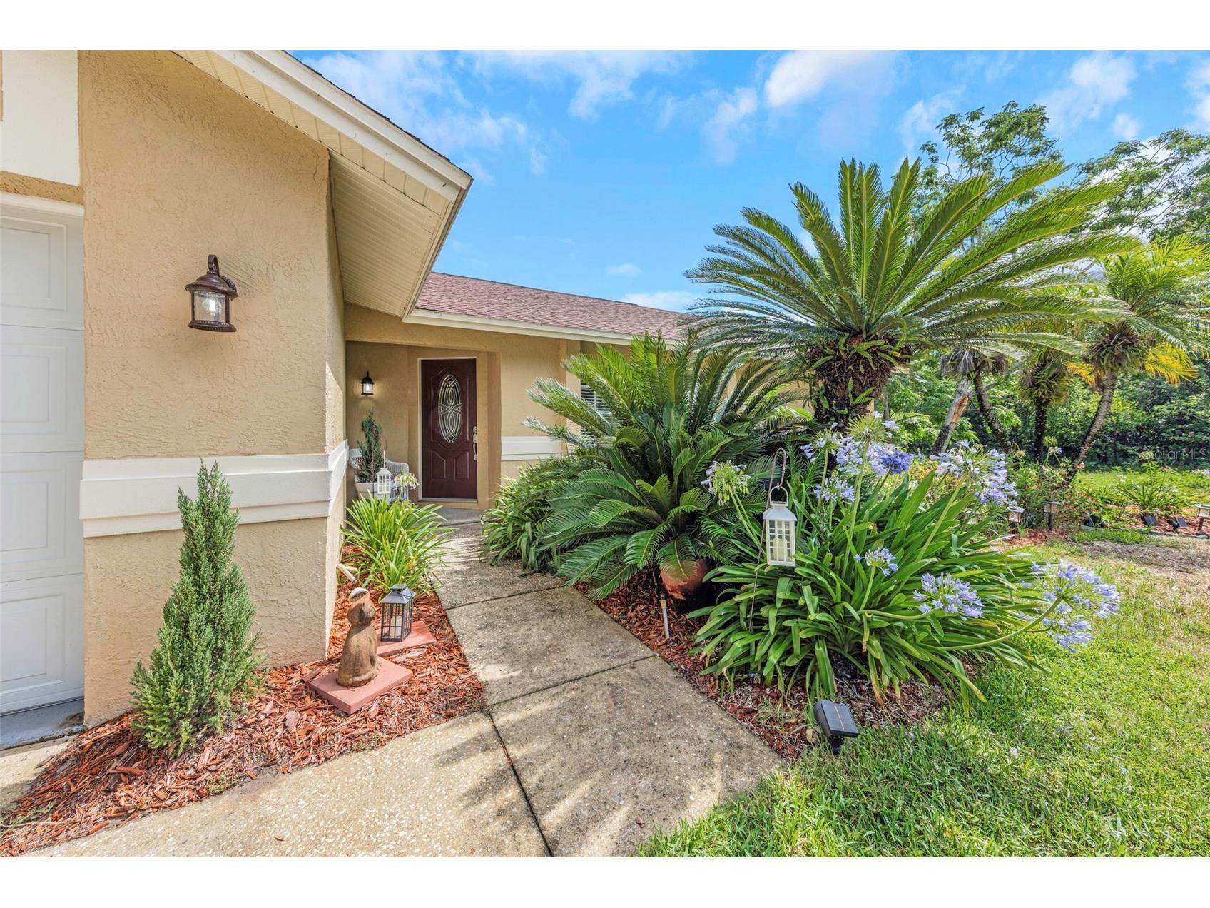 2437 Hawk Avenue Palm Harbor FL 34683 W7886760 image2