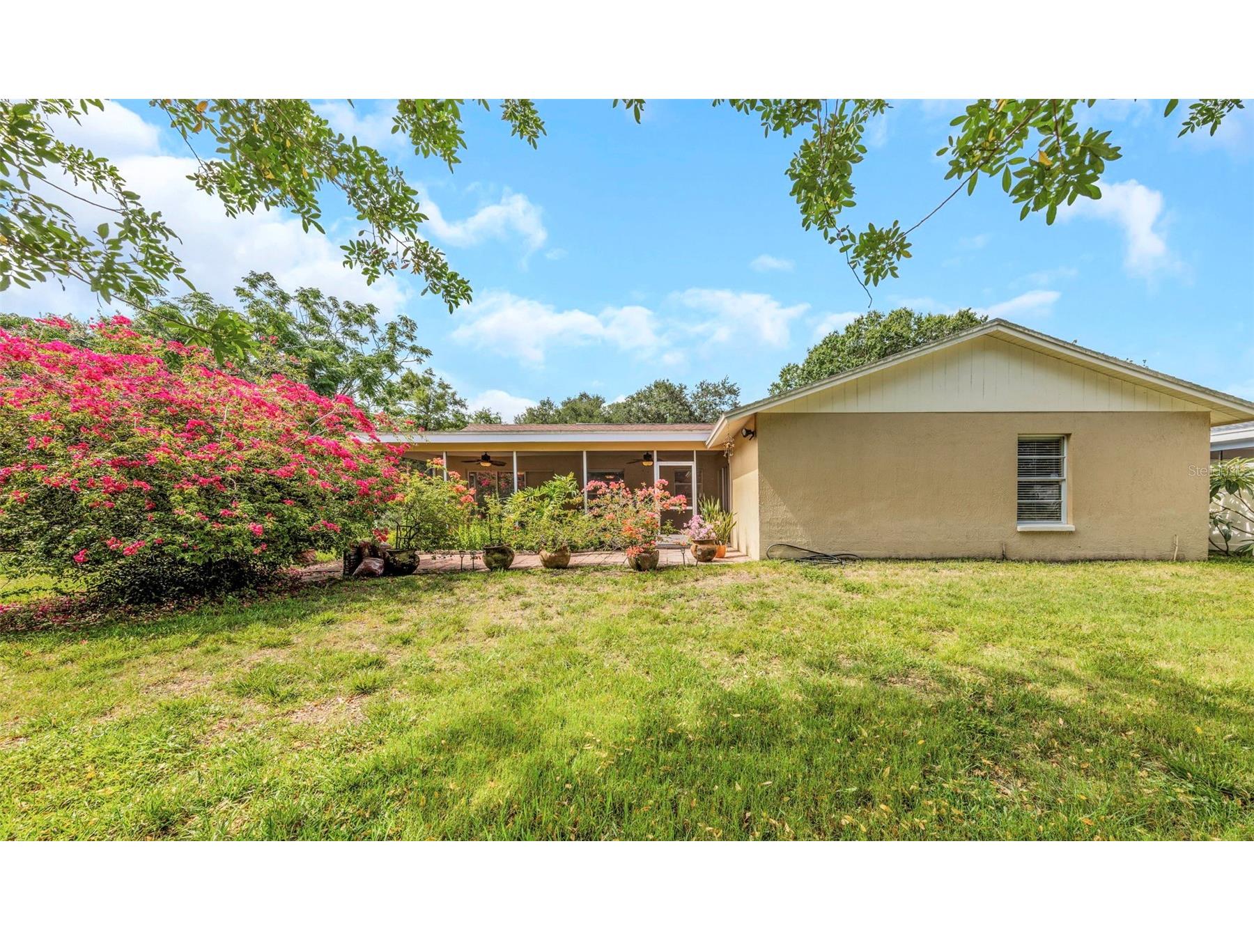 2437 Hawk Avenue Palm Harbor FL 34683 W7886760 image32