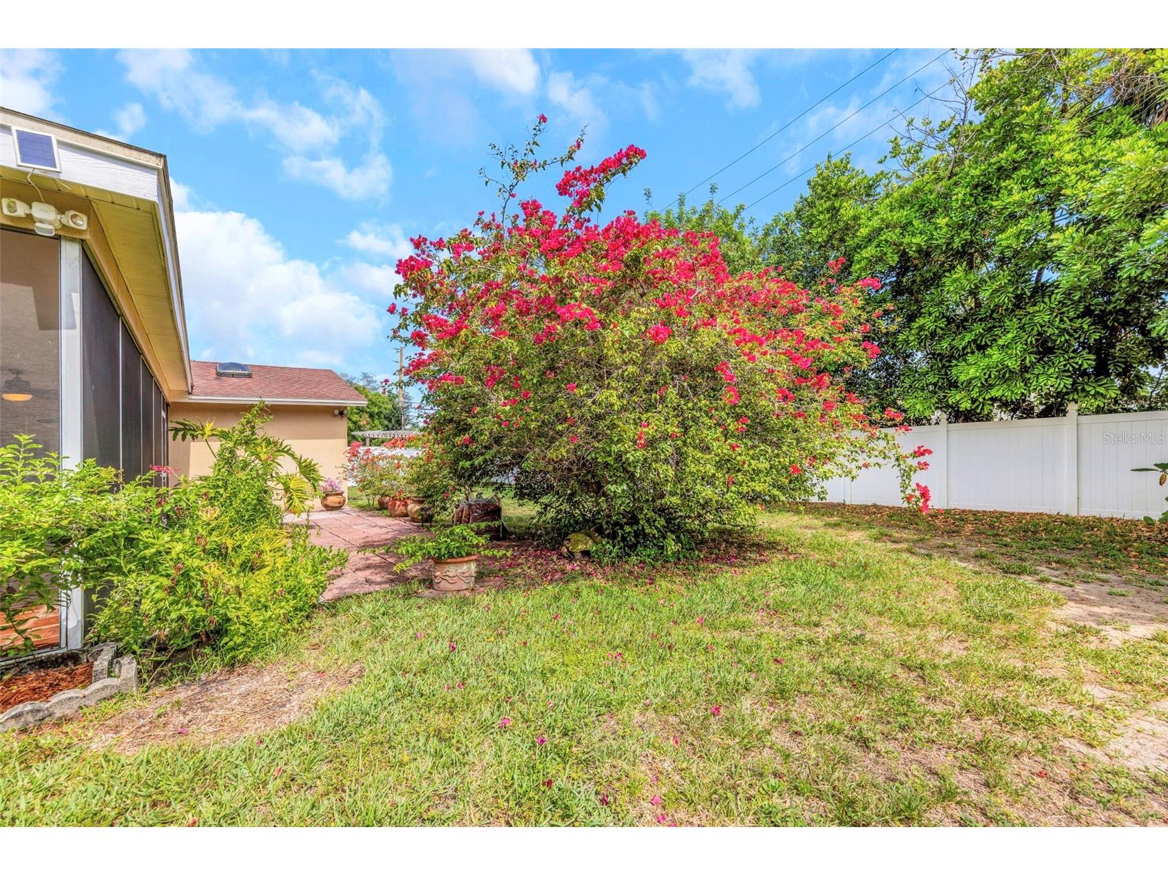2437 Hawk Avenue Palm Harbor FL 34683 W7886760 image34