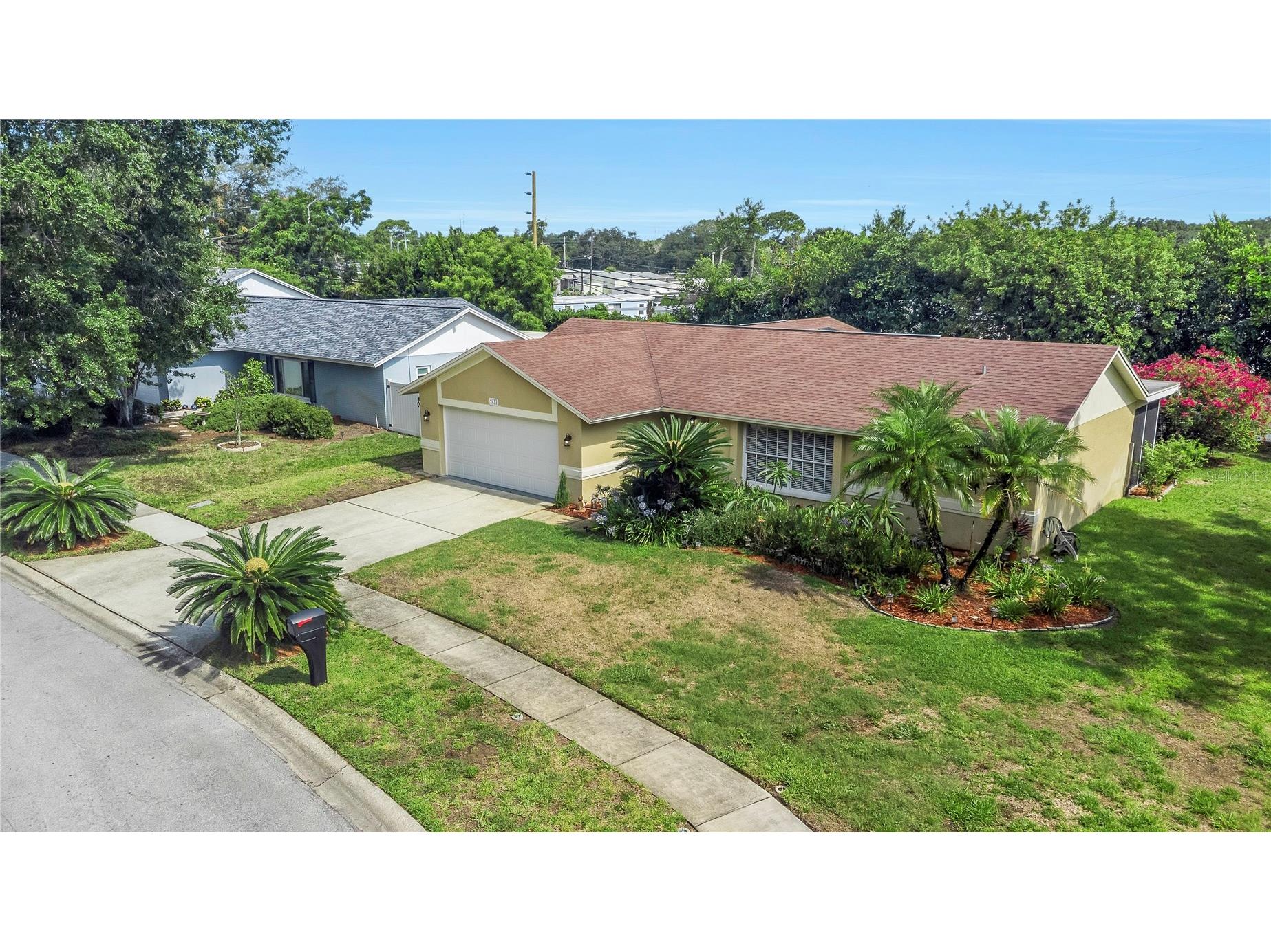 2437 Hawk Avenue Palm Harbor FL 34683 W7886760 image35