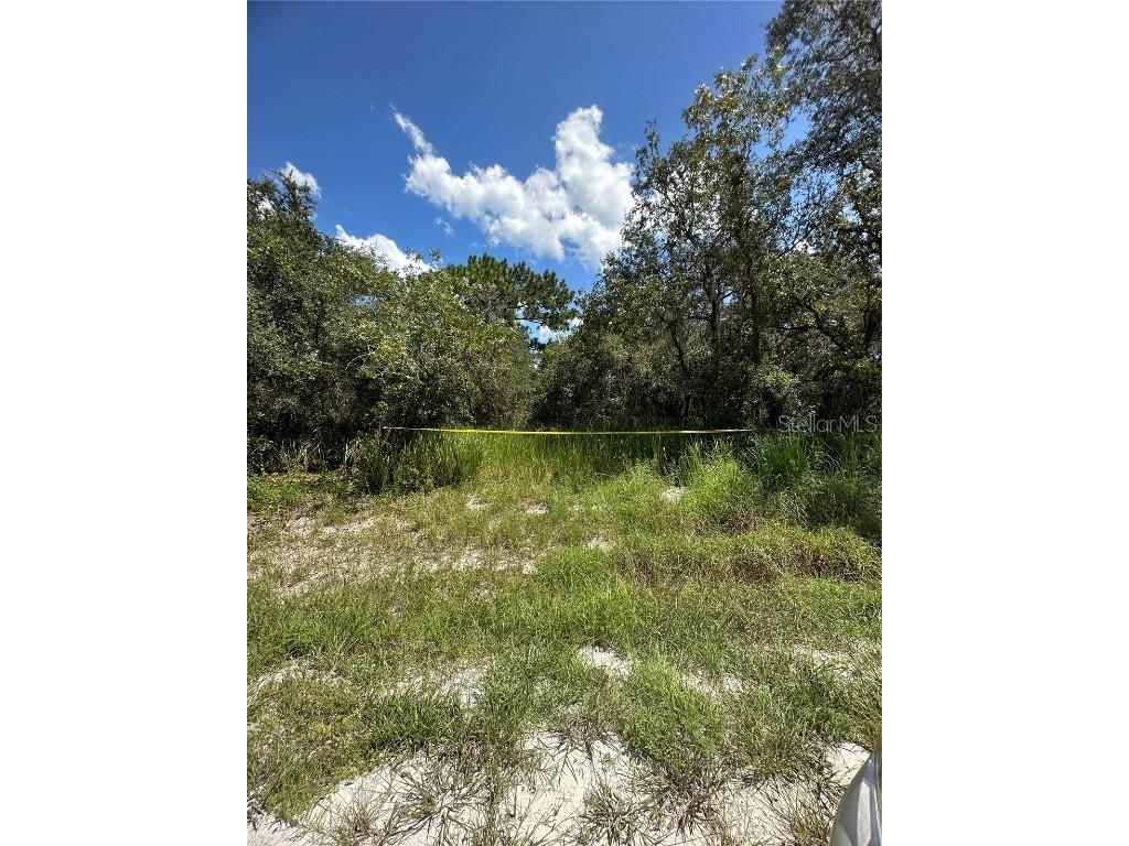 2437 Sand Pine Trail Frostproof FL 33843 S5091272 image1