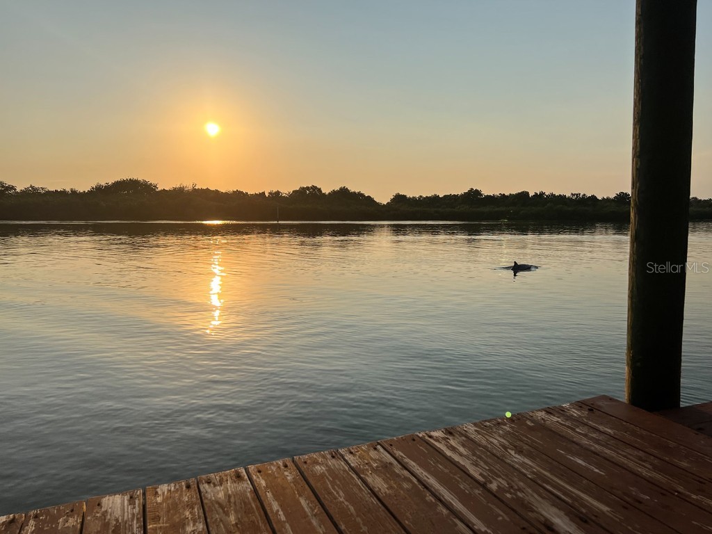 2437 Swordfish Lane Edgewater FL 32141 NS1080706 image1