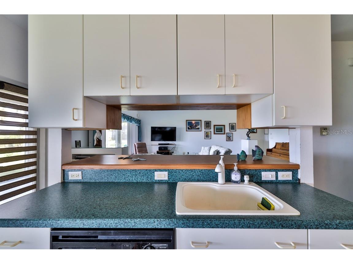 2437 Swordfish Lane Edgewater FL 32141 NS1080706 image11