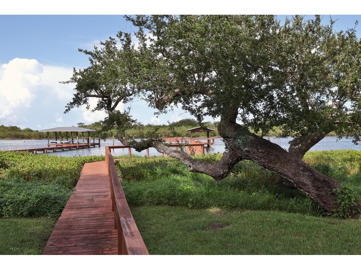 2437 Swordfish Lane Edgewater FL 32141 NS1080706 image28