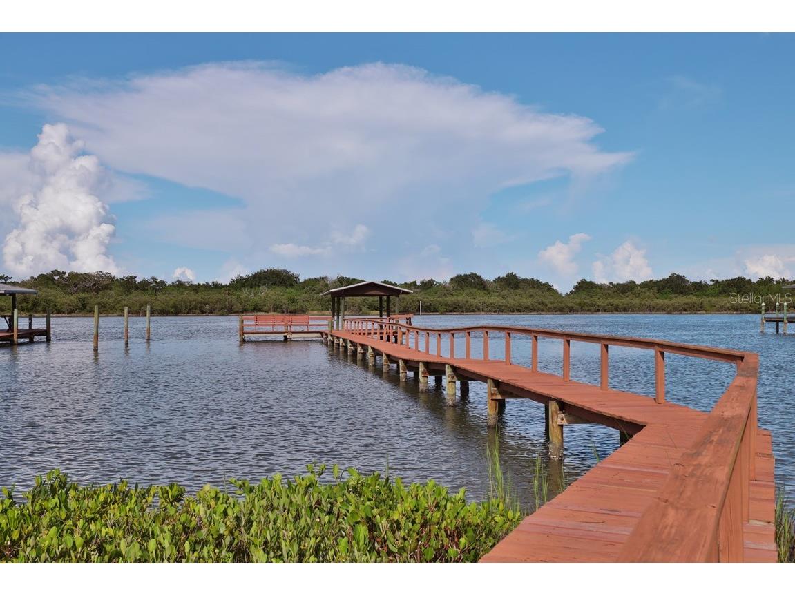 2437 Swordfish Lane Edgewater FL 32141 NS1080706 image4