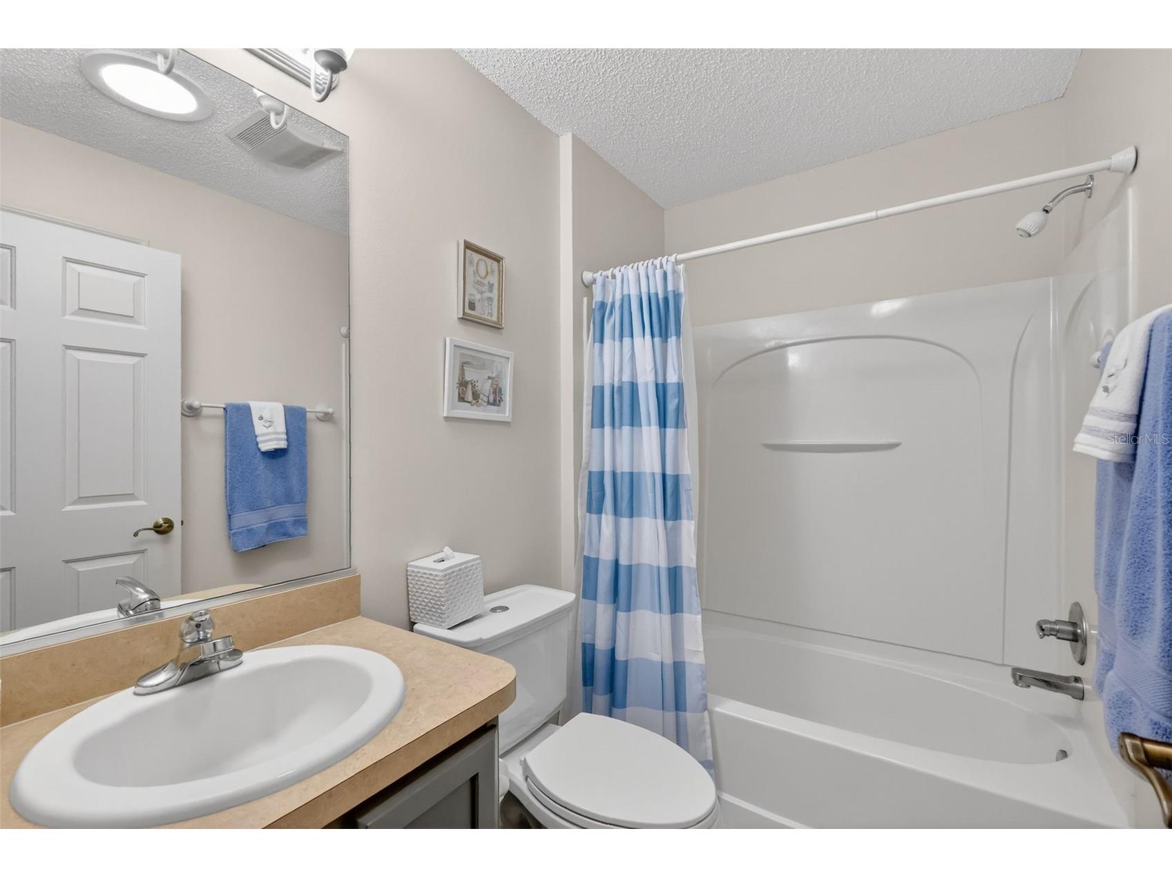 2437 Tatum Terrace The Villages FL 32162 G5106868 image14