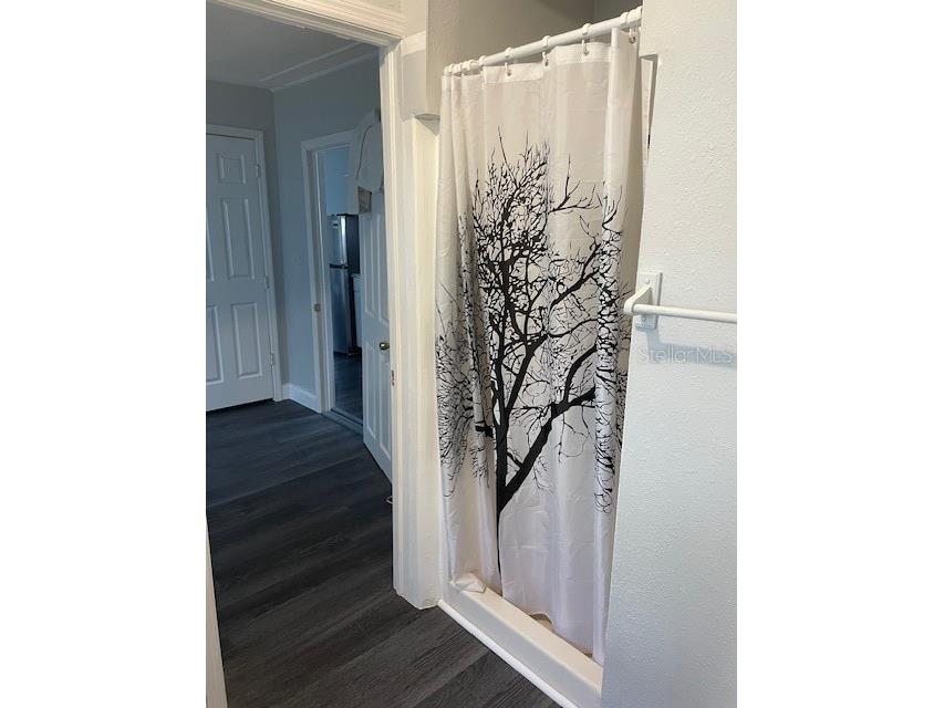 2438 9th Avenue S Saint Petersburg FL 33712 TB8455940 image19