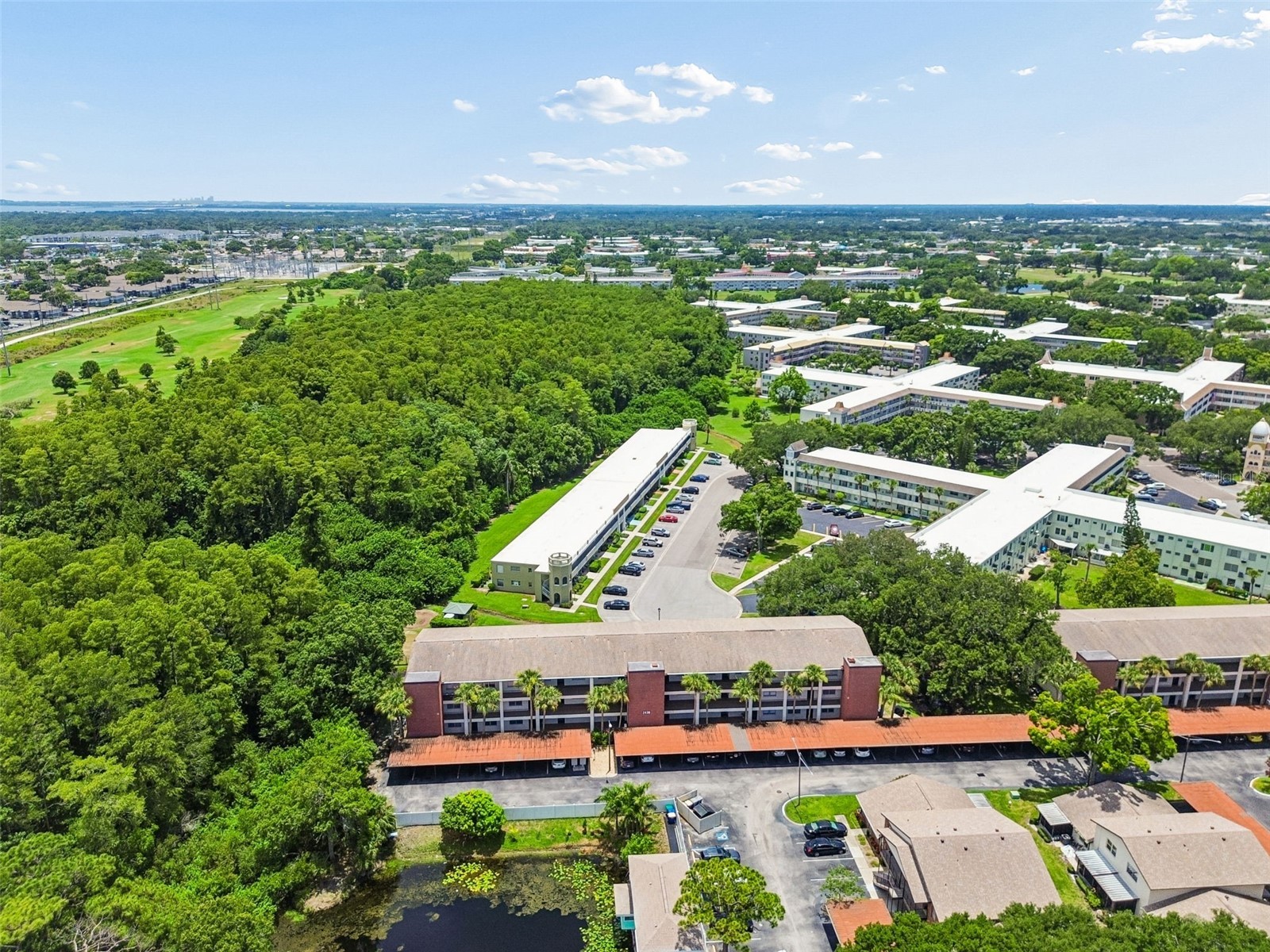 2438 Enterprise Road #25 Clearwater FL 33763 TB8523414 image45