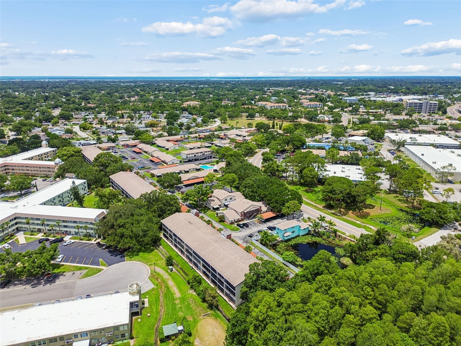 2438 Enterprise Road #25 Clearwater FL 33763 TB8523414 image49
