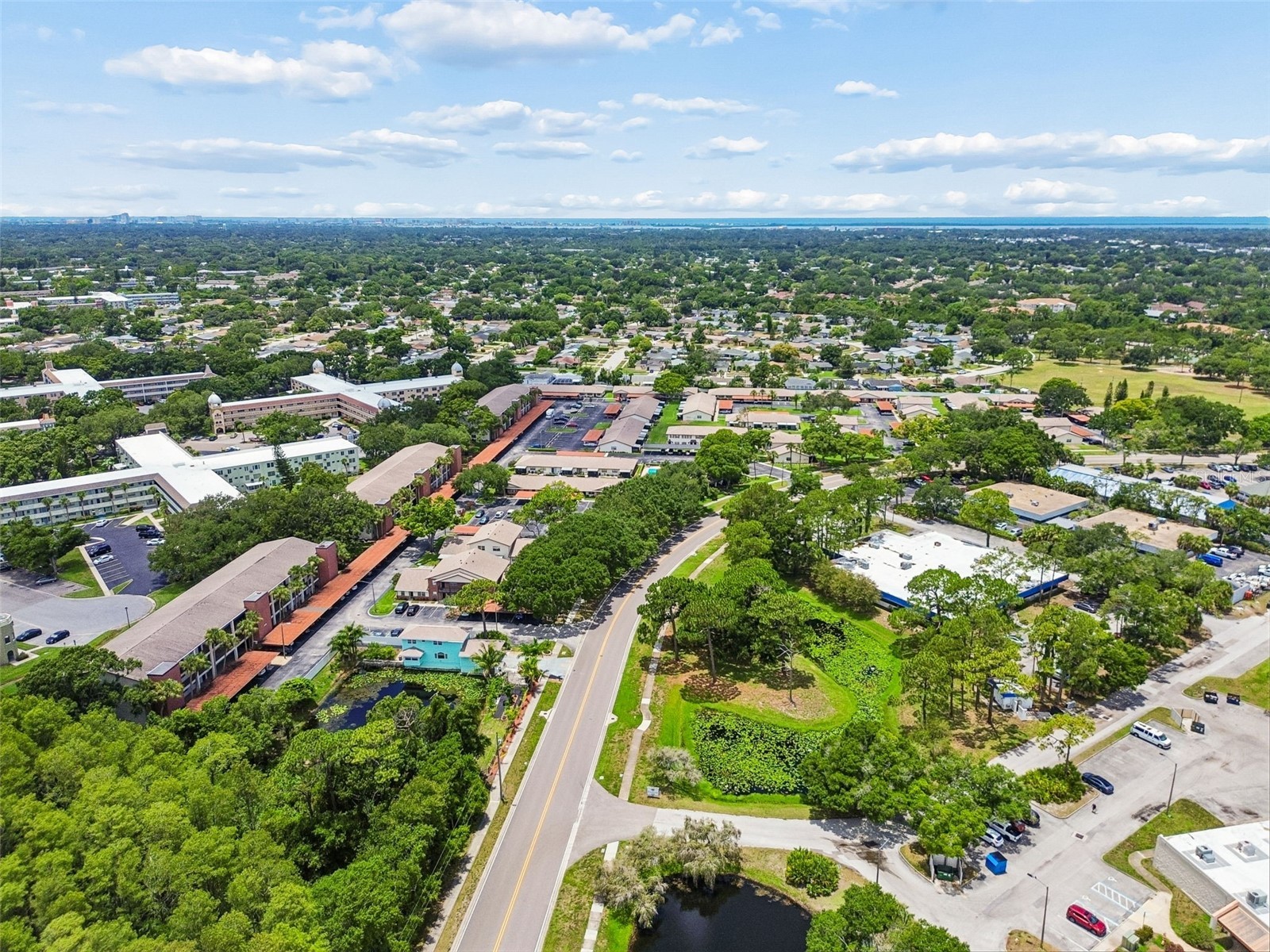 2438 Enterprise Road #25 Clearwater FL 33763 TB8523414 image50