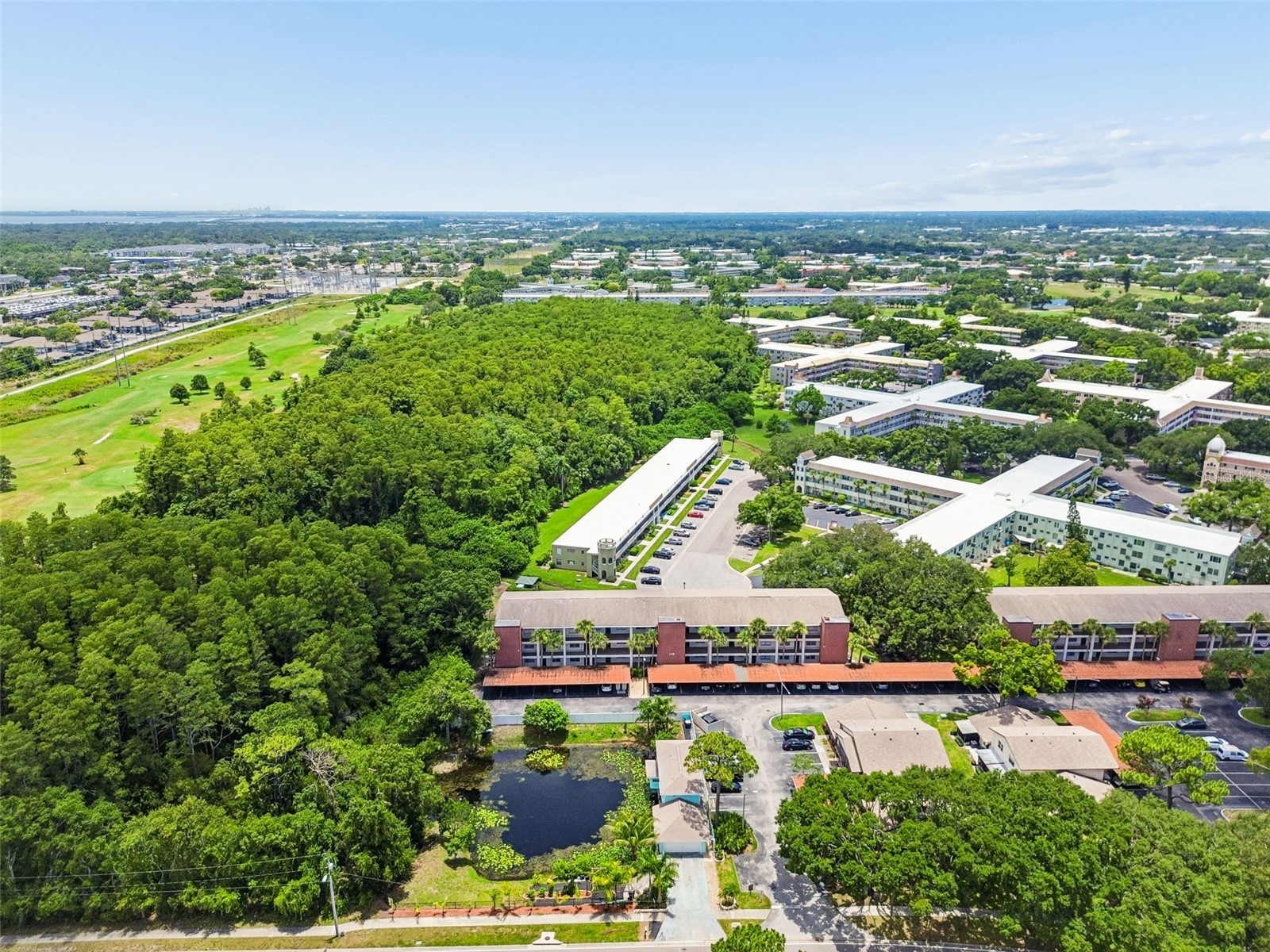 2438 Enterprise Road #25 Clearwater FL 33763 TB8523414 image51