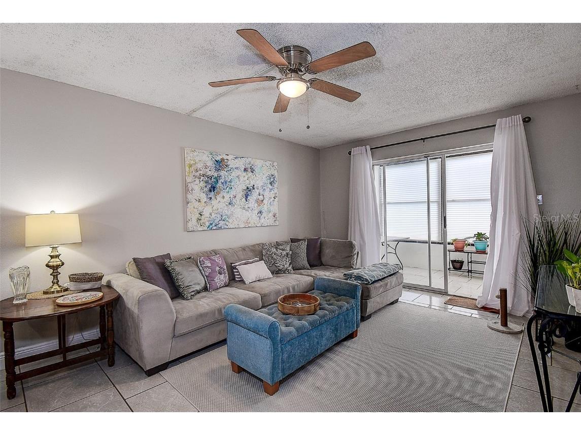 2438 Enterprise Road #6 Clearwater FL 33763 T3548862 image7