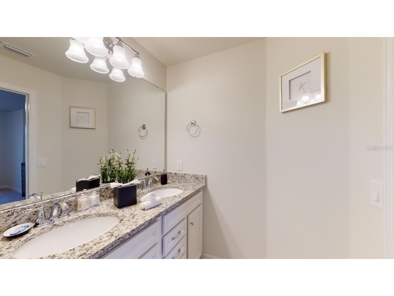 2438 Tanger Drive Kissimmee FL 34747 O6347903 image35