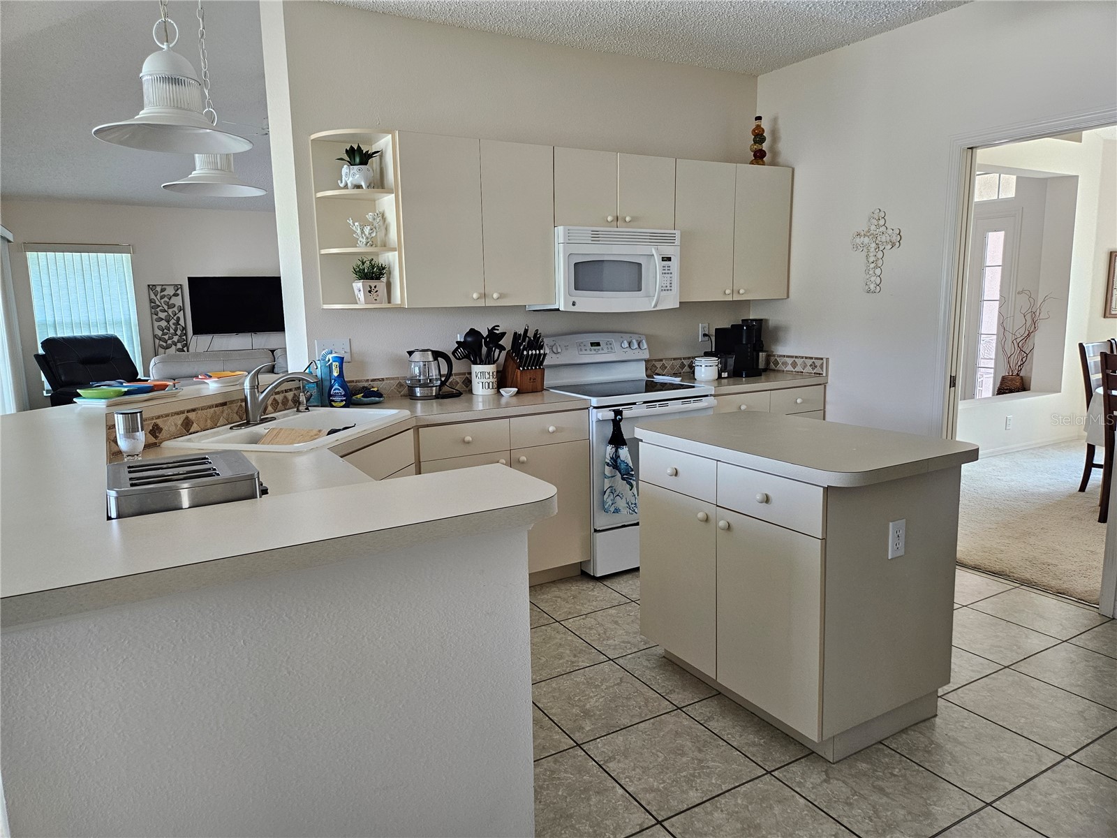 2439 E Del Webb Boulevard Sun City Center FL 33573 TB8481670 image15