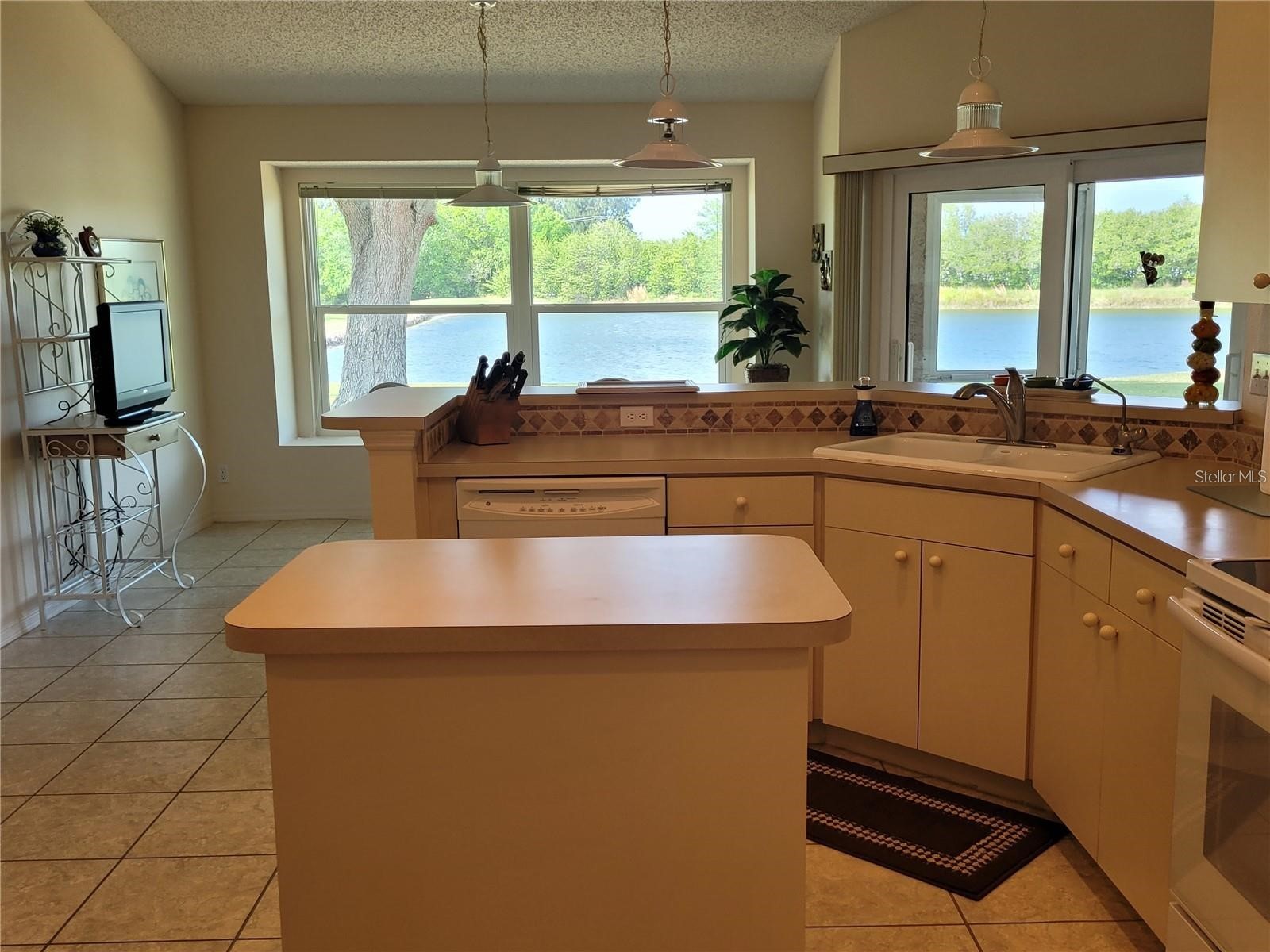 2439 E Del Webb Boulevard Sun City Center FL 33573 TB8481670 image17