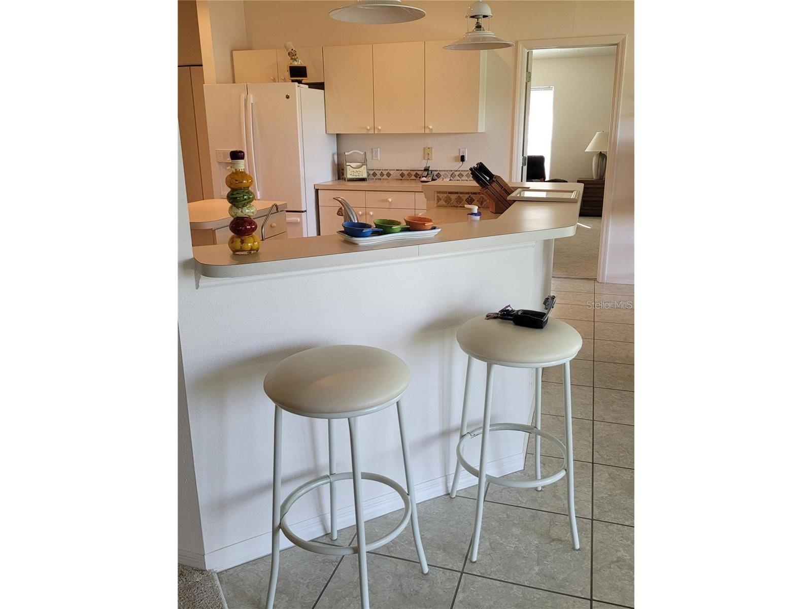 2439 E Del Webb Boulevard Sun City Center FL 33573 TB8481670 image19