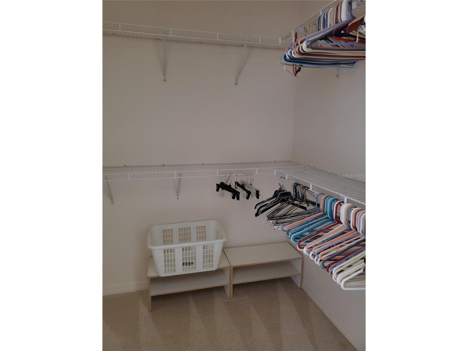 2439 E Del Webb Boulevard Sun City Center FL 33573 TB8481670 image22