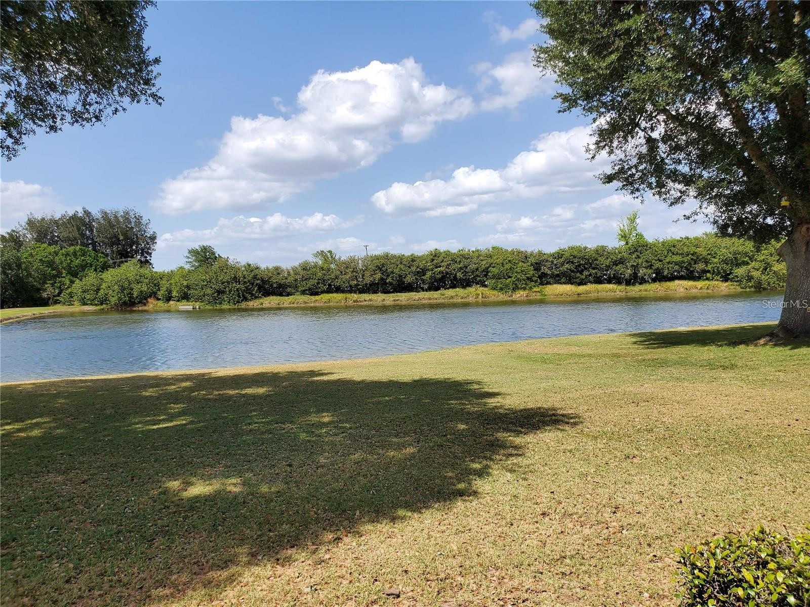 2439 E Del Webb Boulevard Sun City Center FL 33573 TB8481670 image4