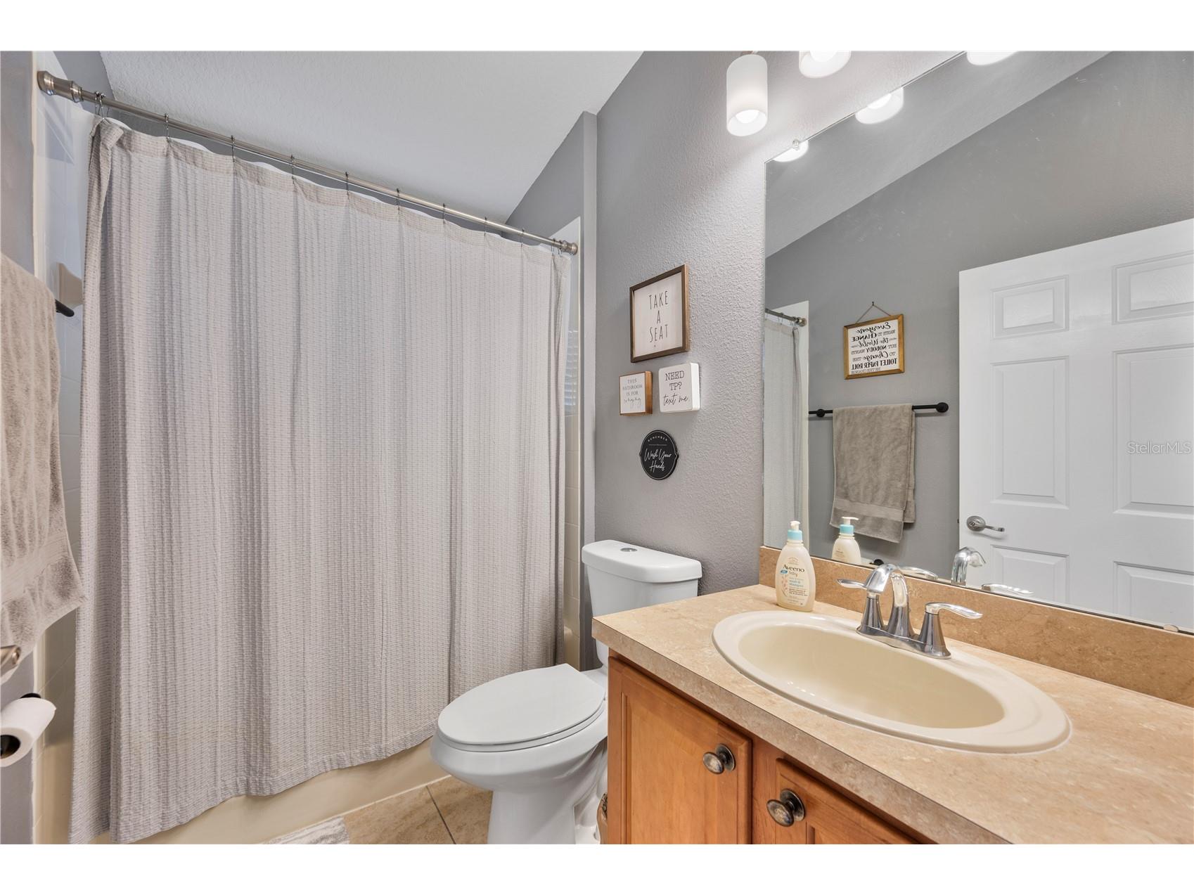 2439 Hamlet Circle Lakeland FL 33810 L4959675 image9