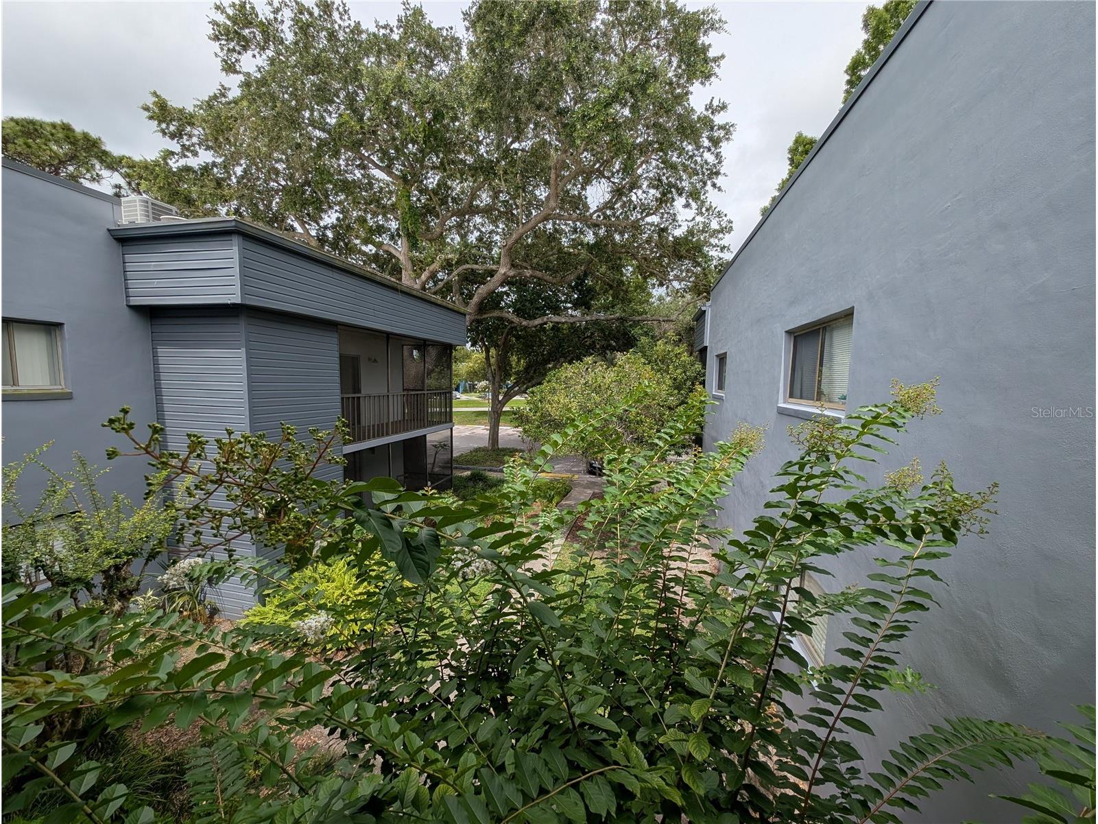 2439 Oak Park Way #217 Orlando FL 32822 O6415337 image31
