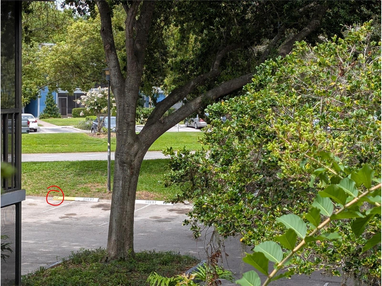 2439 Oak Park Way #217 Orlando FL 32822 O6415337 image4